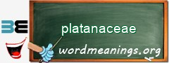 WordMeaning blackboard for platanaceae